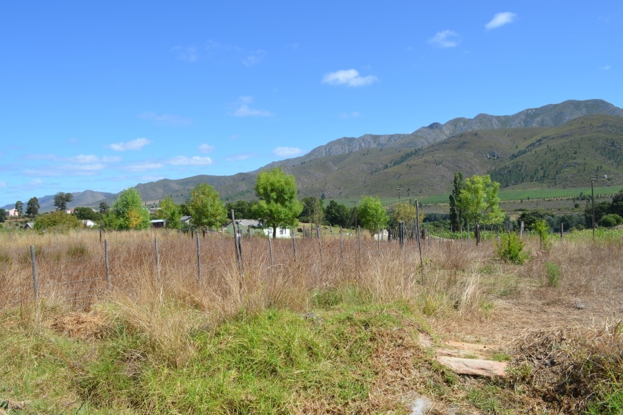 0 Bedroom Property for Sale in Haarlem Western Cape